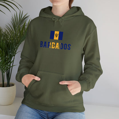 Barbados Flag Hooded Sweatshirt