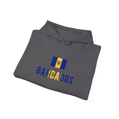 Barbados Flag Hooded Sweatshirt