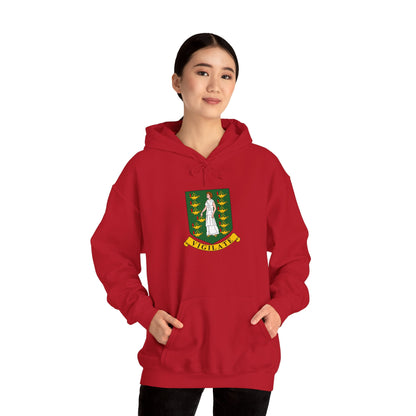 British Virgin Islands Hooded Sweatshirt