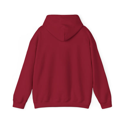 Barbados Flag Hooded Sweatshirt
