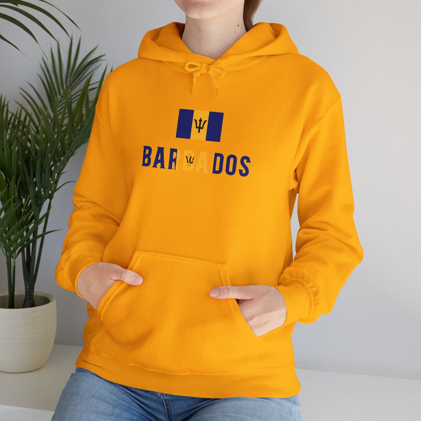 Barbados Flag Hooded Sweatshirt