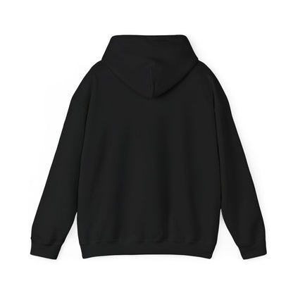 British Virgin Islands Hooded Sweatshirt
