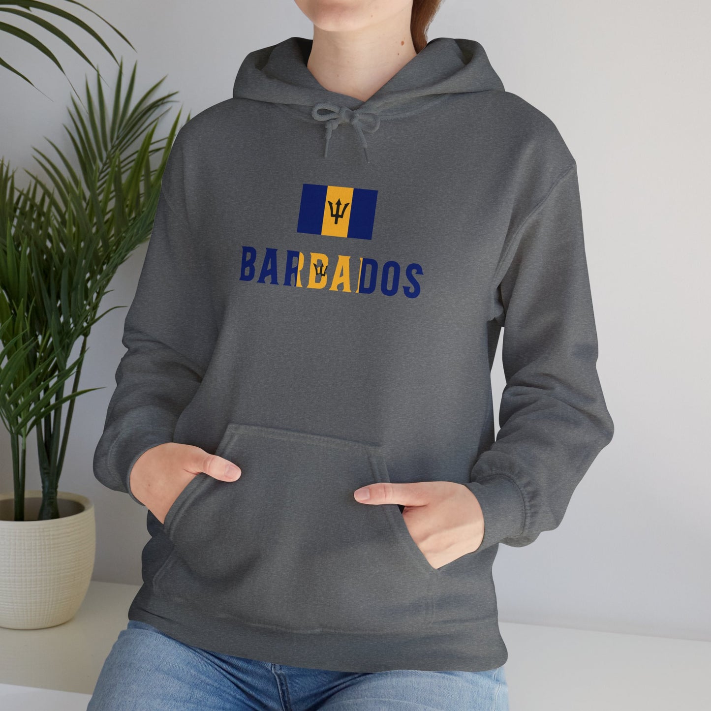 Barbados Flag Hooded Sweatshirt