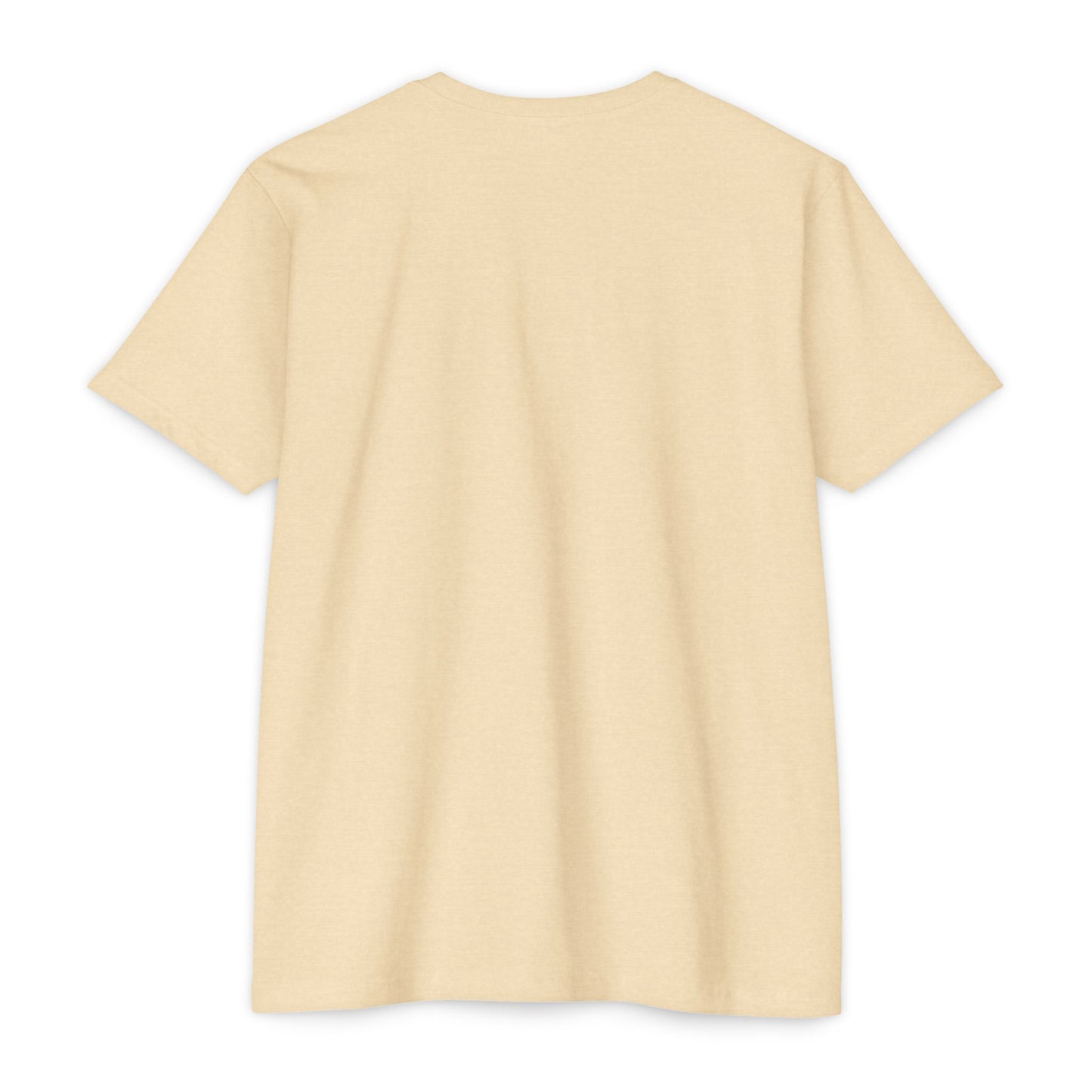 Unisex CVC Jersey Curacao T-shirt